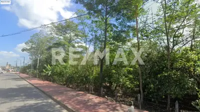 Terreno en venta en Cunduacán - foto 4