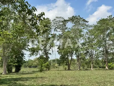 Terreno en venta en Centro - foto 4