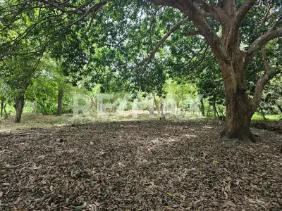 Terreno en venta en Centro - foto 5