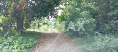 Terreno en venta