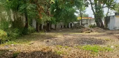 Terreno en renta en Centro - foto 4