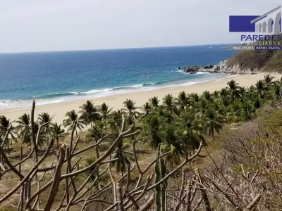 Venta de terreno de 25000 m2 frente playa larga zihuatanejo