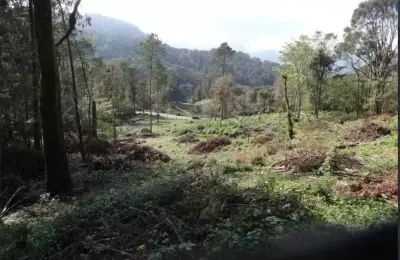 Terreno en venta en Zacualtipán de Angeles - foto 3