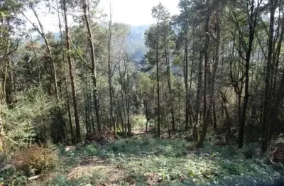 Terreno en venta en Zacualtipán de Angeles - foto 5