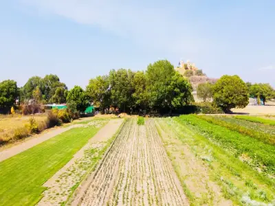 Terreno en venta en San Andrés Cholula - foto 4