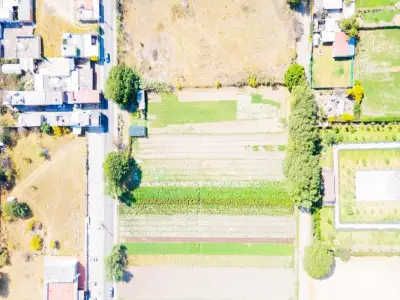 Terreno en venta en San Andrés Cholula - foto 2