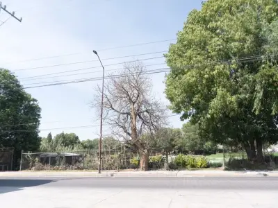 Terreno en venta en San Andrés Cholula - foto 3