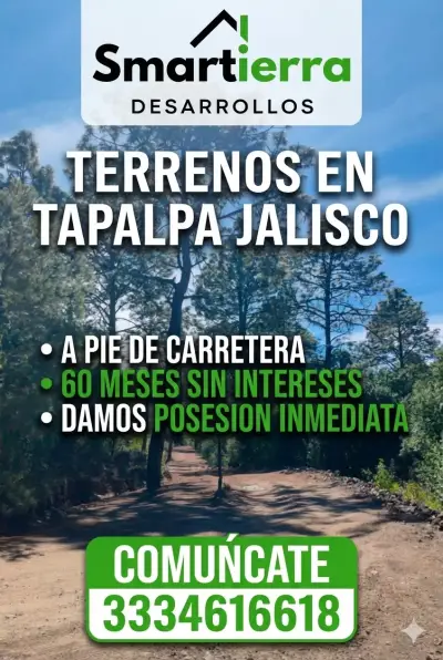 Terrenos a pie de carretera