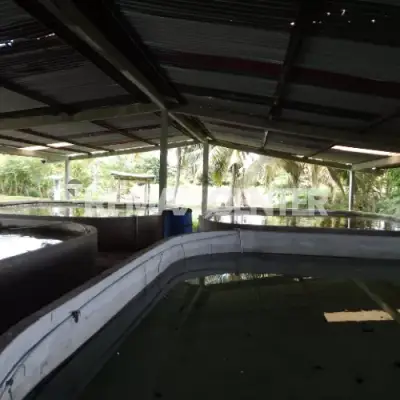 Rancho en venta en Jalapa - foto 2