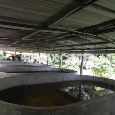 Rancho en venta en Jalapa - foto 3