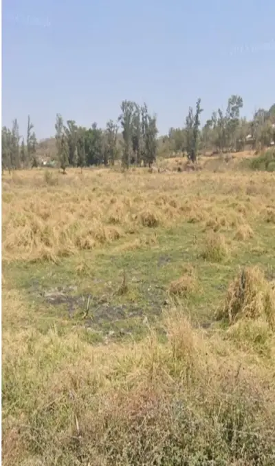 Terreno en venta en Tonalá - foto 3