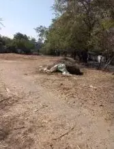 Terreno en venta en Mazatepec - foto 4