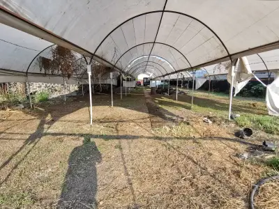 Terreno en venta en Temixco - foto 5