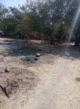 Terreno en venta en Mazatepec - foto 3