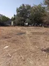 Terreno en venta en Mazatepec - foto 5