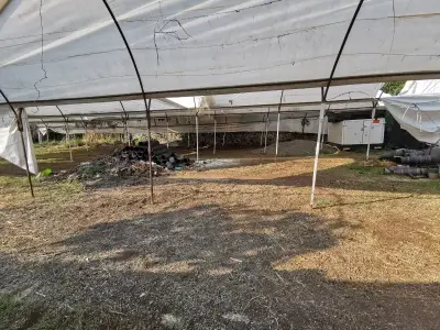 Terreno en venta en Temixco - foto 4