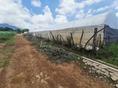 Terreno en venta en Ocuilan - foto 2