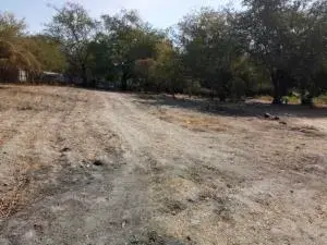 Terreno en venta en Mazatepec - foto 2