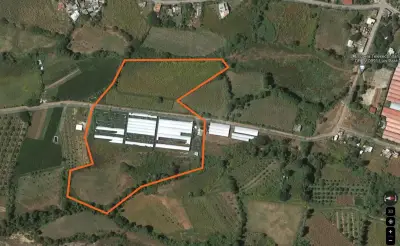 Terreno en venta en Ocuilan - foto 4