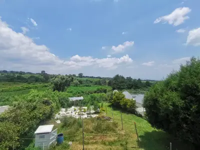 Terreno en venta en Ocuilan - foto 3