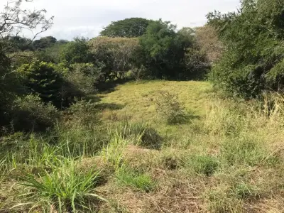 Terreno en venta en Xochitepec - foto 4