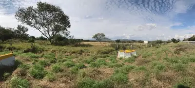 Terreno en venta en Xochitepec - foto 5