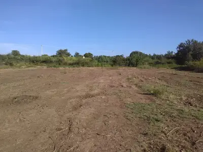 Terreno en venta en Reyes Etla - foto 3