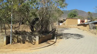 Terreno en venta en San Andrés Huayapam - foto 3