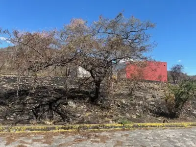 Terreno en venta en Tepexco - foto 5