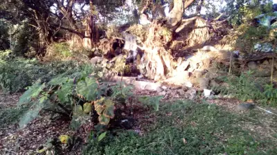 Terreno en venta en Atlixco - foto 4