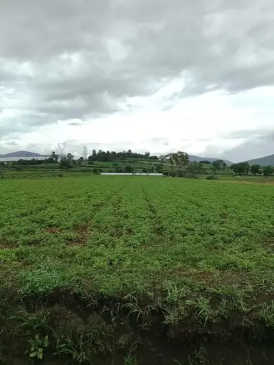 Terreno en venta en Atlixco - foto 3