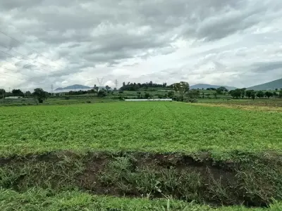 Vendo 1 hectárea.