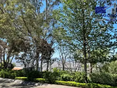 Terreno en venta en Morelia - foto 3