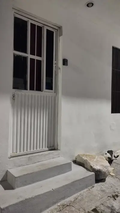 Terreno en renta en Campeche - foto 5
