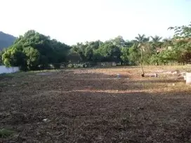 Terreno en venta en Zihuatanejo de Azueta - foto 5