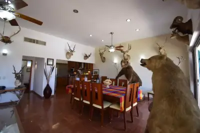 Casa en venta en Mazatlán - foto 4