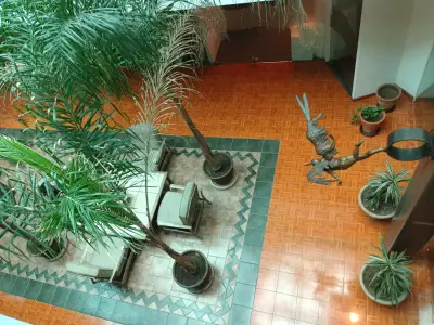 Oficina en renta en Guadalajara - foto 5