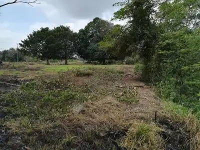 Rancho en venta en Jamapa - foto 4