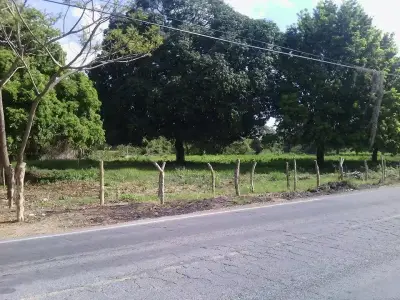 Rancho en venta en Jamapa - foto 3