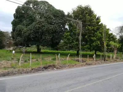 Rancho en venta en Jamapa - foto 5