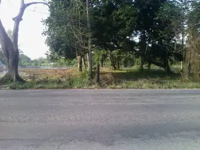 Rancho en venta en Jamapa - foto 2