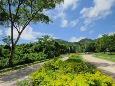 Terreno en venta en Palenque - foto 4