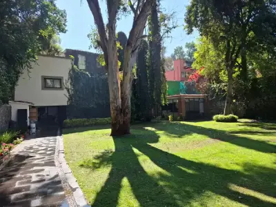Oficina en renta en Coyoacán - foto 2