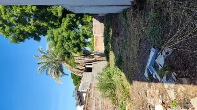 Terreno en venta en Ahome - foto 4