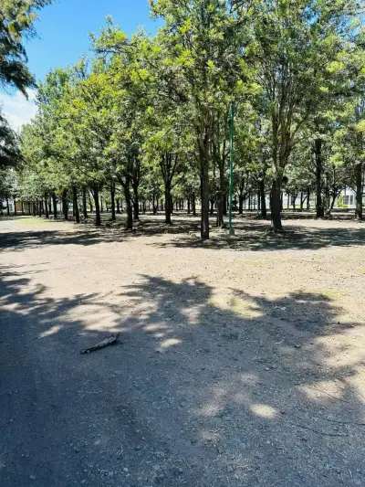 Terreno en venta en Tlajomulco de Zúñiga - foto 4