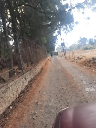 Terreno en venta en Milpa Alta - foto 3