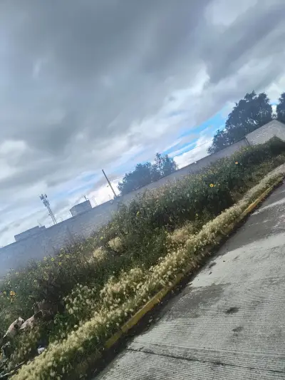 Terreno en venta en Tizayuca - foto 3