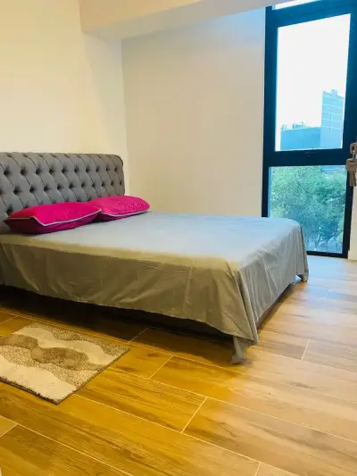 Departamento en venta en Miguel Hidalgo - foto 5