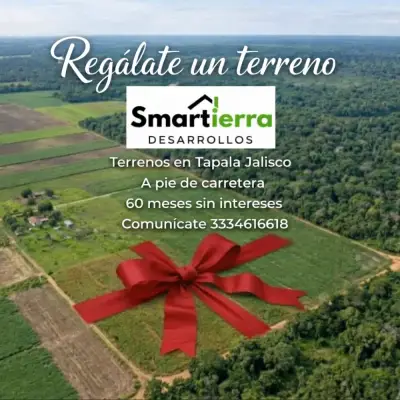 Vive entre pinos: terrenos con posesión inmediata