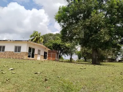 Rancho en venta en Tlalixcoyan - foto 2